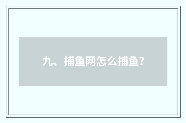 九、捕鱼网怎么捕鱼？