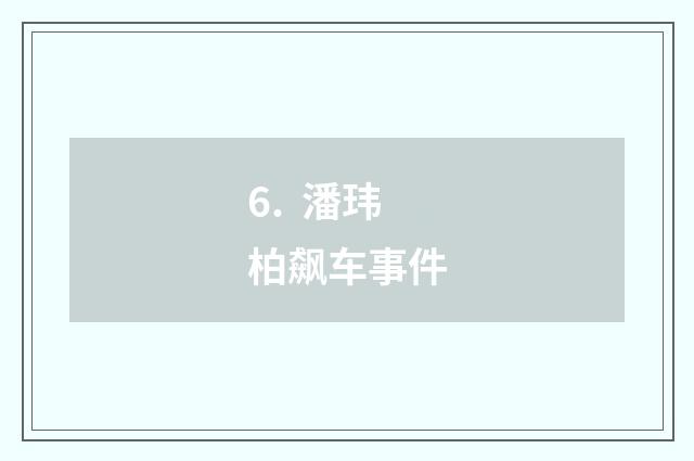 6. 潘玮柏飙车事件