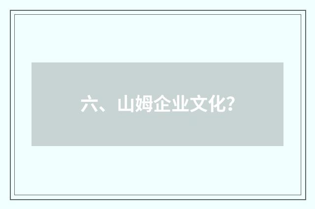 六、山姆企业文化？