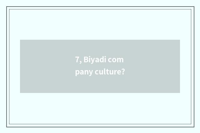 7, Biyadi company culture?