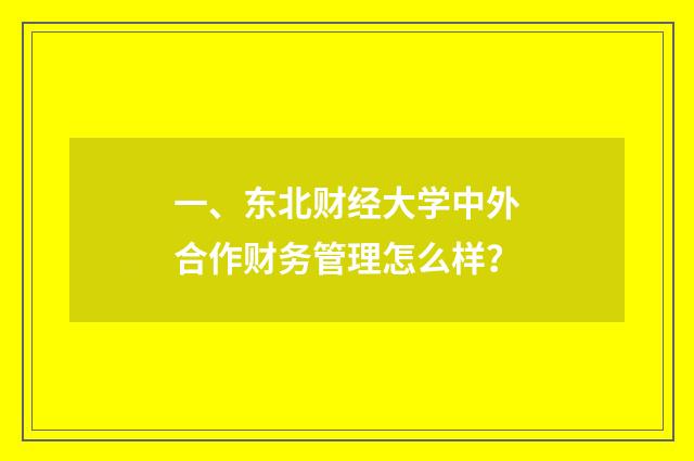 一、东北财经大学中外合作财务管理怎么样？