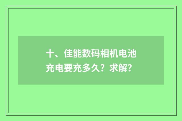 十、佳能数码相机电池充电要充多久？求解？
