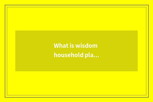 What is wisdom household platform?