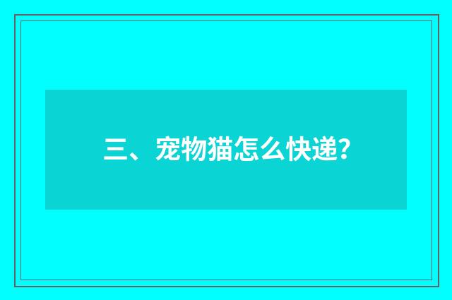 三、宠物猫怎么快递？