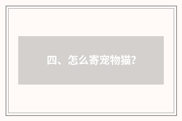 四、怎么寄宠物猫?