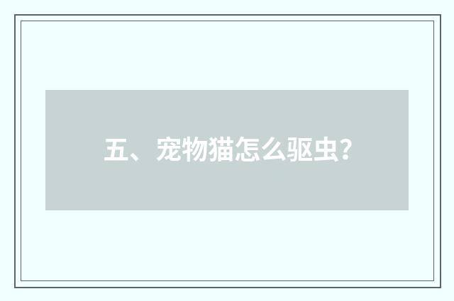 五、宠物猫怎么驱虫？