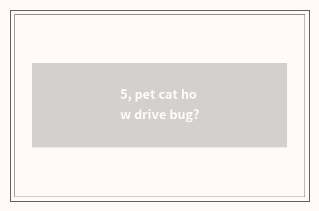 5, pet cat how drive bug?