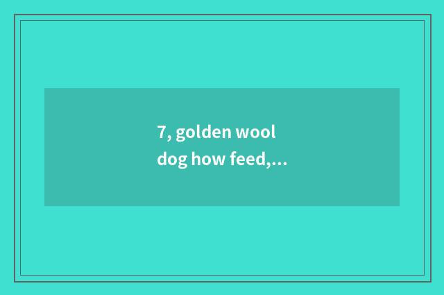 7, golden wool dog how feed, the feed common sense of golden wool dog?