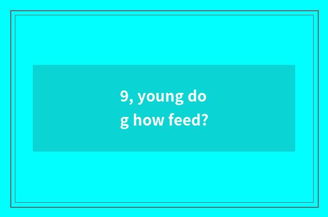 9, young dog how feed?