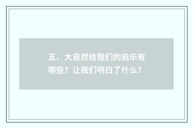 五、大自然给我们的启示有哪些？让我们明白了什么？