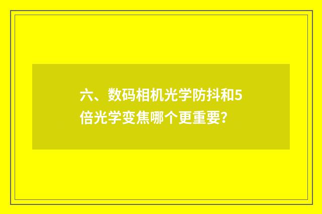 六、数码相机光学防抖和5倍光学变焦哪个更重要？