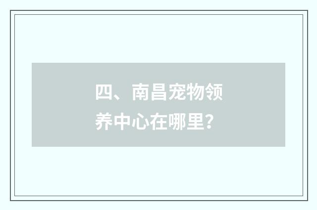 四、南昌宠物领养中心在哪里？