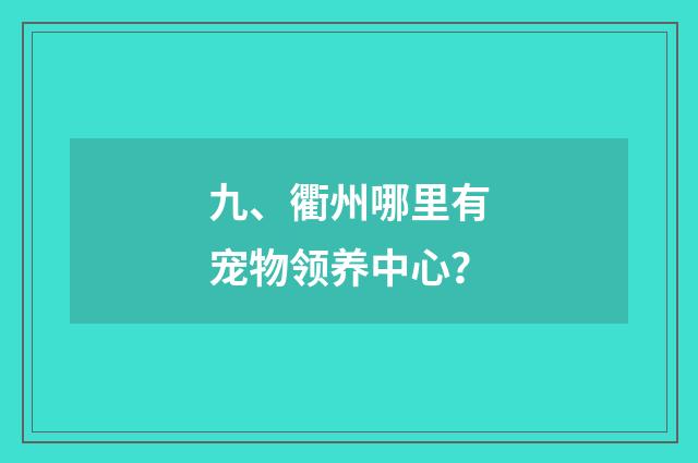 九、衢州哪里有宠物领养中心？