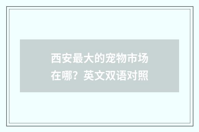 西安最大的宠物市场在哪？英文双语对照
