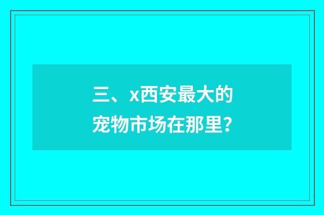 三、x西安最大的宠物市场在那里？