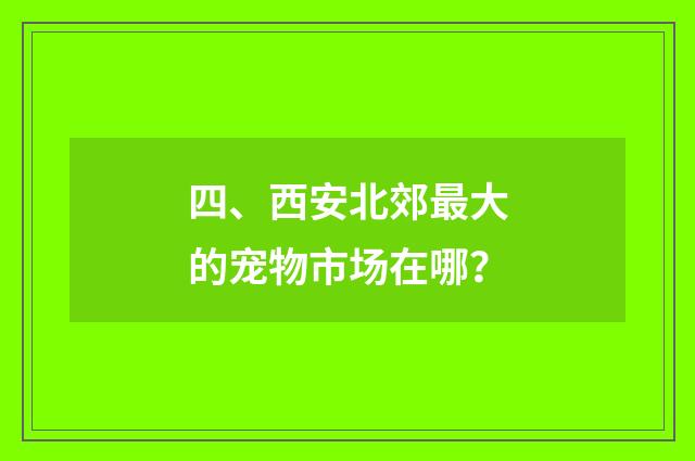 四、西安北郊最大的宠物市场在哪？