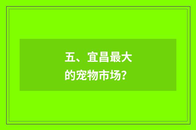 五、宜昌最大的宠物市场？