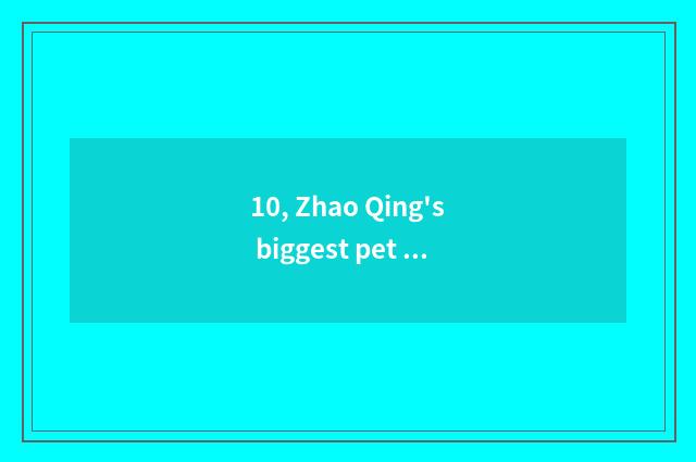 10, Zhao Qing's biggest pet market?