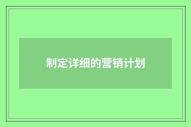 制定详细的营销计划