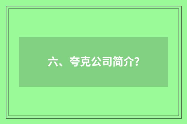 六、夸克公司简介？