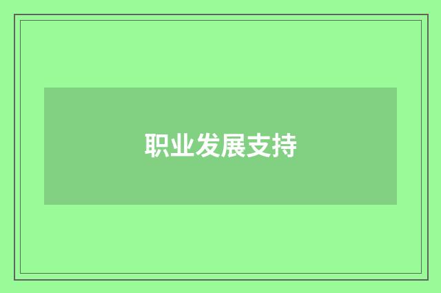职业发展支持