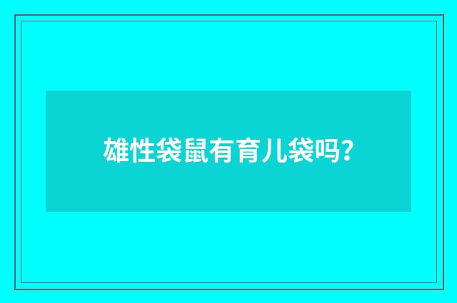 雄性袋鼠有育儿袋吗？