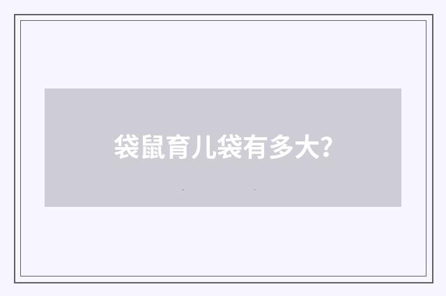袋鼠育儿袋有多大？