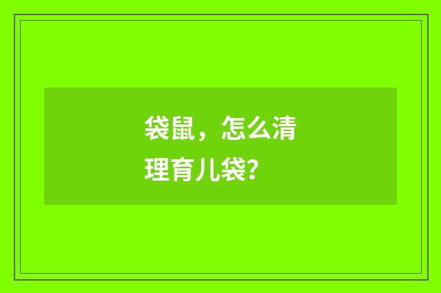 袋鼠，怎么清理育儿袋？