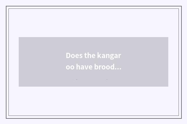 Does the kangaroo have brood pouch?