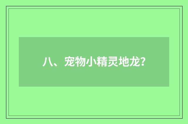 八、宠物小精灵地龙？