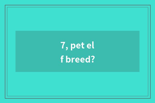 7, pet elf breed?