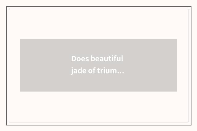 Does beautiful jade of triumphant a twenty-five-stringed plucked instrument use 