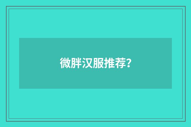 微胖汉服推荐？