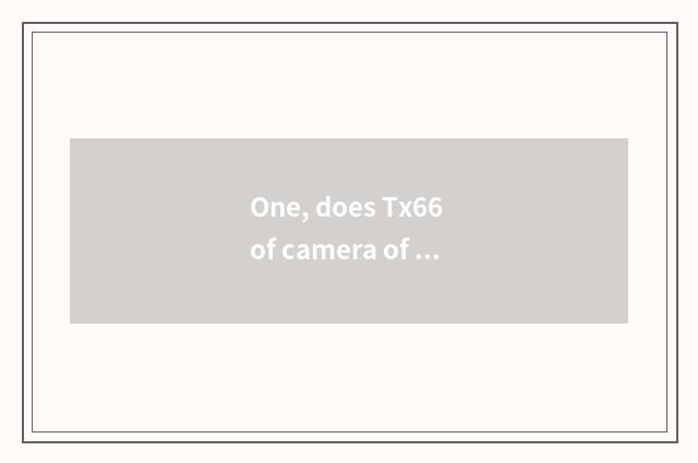 One, does Tx66 of camera of Suo Ni number have photograph resemble a function?