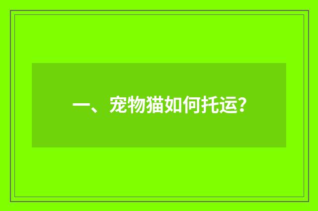 一、宠物猫如何托运？