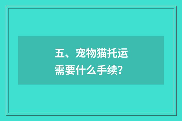 五、宠物猫托运需要什么手续？