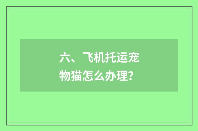 六、飞机托运宠物猫怎么办理？