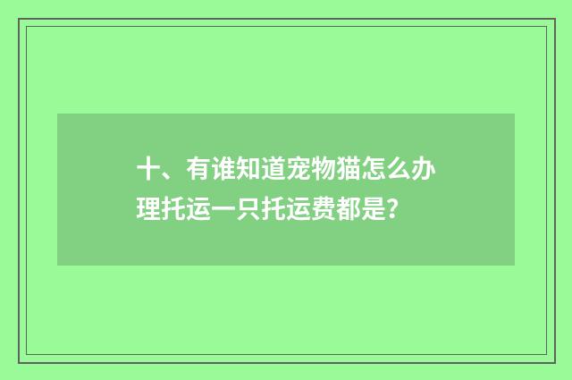 十、有谁知道宠物猫怎么办理托运一只托运费都是？