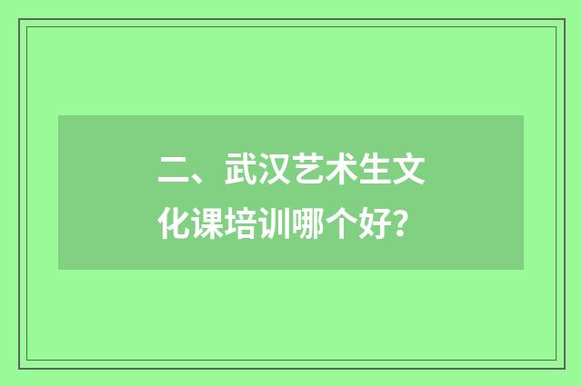 二、武汉艺术生文化课培训哪个好？