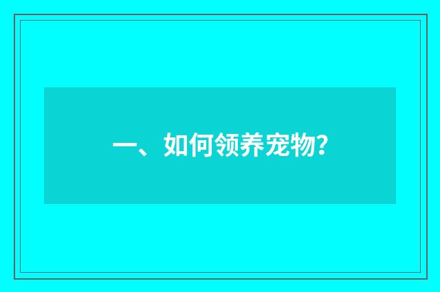 一、如何领养宠物？
