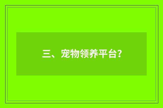 三、宠物领养平台？