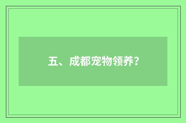 五、成都宠物领养?
