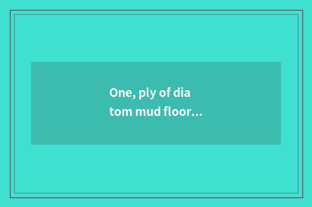 One, ply of diatom mud floor?