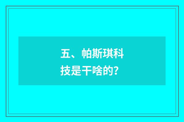 五、帕斯琪科技是干啥的?