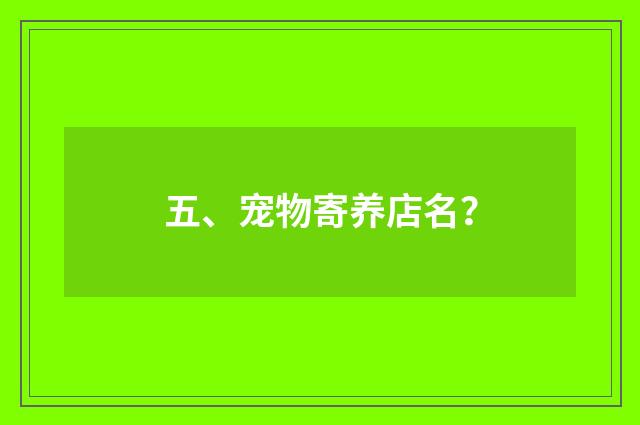 五、宠物寄养店名？