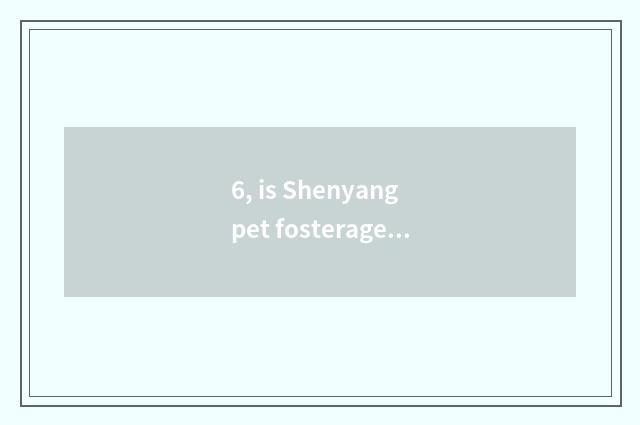 6, is Shenyang pet fosterage in? The pet ask sb to bring up one's child that nor