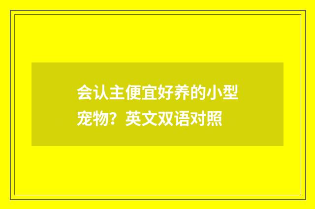 会认主便宜好养的小型宠物？英文双语对照