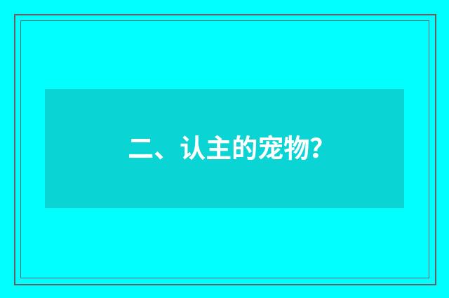 二、认主的宠物？