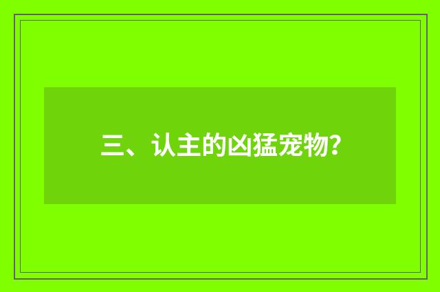三、认主的凶猛宠物？