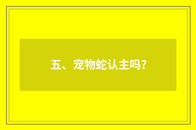 五、宠物蛇认主吗？